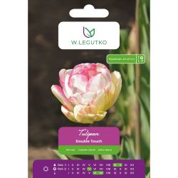 Tulipan Double Touch różowo-biały 4szt. - Cebule i Kłącza - W. Legutko Tulipan Double Touch różowo-biały 4szt. - Cebule i Kłącza - W. Legutko