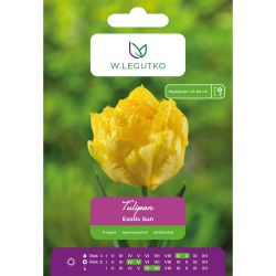 Tulipan Exotic Sun żółty 4szt. - Cebule i Kłącza - W. Legutko Tulipan Exotic Sun żółty 4szt. - Cebule i Kłącza - W. Legutko
