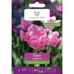 Tulipan Fancy Frills różowy 4szt. - Cebule i Kłącza - W. Legutko Tulipan Fancy Frills różowy 4szt. - Cebule i Kłącza - W. Legutko