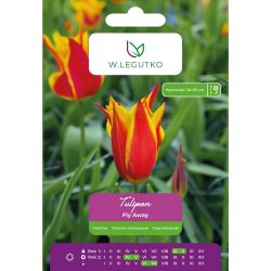 Tulipan Fly Away czerwono-żółty 5szt. - Cebule i Kłącza - W. Legutko Tulipan Fly Away czerwono-żółty 5szt. - Cebule i Kłącza - W. Legutko