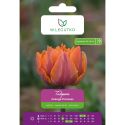 Tulipan Orange Princess pomarańczowy 5szt. - Cebule i Kłącza - W. Legutko