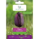 Tulipan Queen of Night bordowy 5szt. - Cebule i Kłącza - W. Legutko
