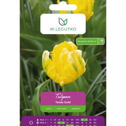 Tulipan Texas Gold żółty 4szt. - Cebule i Kłącza - W. Legutko Tulipan Texas Gold żółty 4szt. - Cebule i Kłącza - W. Legutko