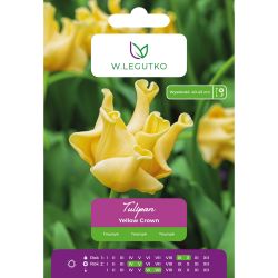 Tulipan Yellow Crown żółty 4szt. - Cebule i Kłącza - W. Legutko Tulipan Yellow Crown żółty 4szt. - Cebule i Kłącza - W. Legutko