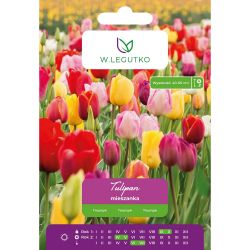 Tulipan Triumph mieszanka 5szt. - Cebule i Kłącza - W. Legutko