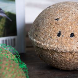 Kula tłuszczowa 1x500g - pokarm dla ptaków - Produkty dla ptaków - W. Legutko Kula tłuszczowa 1x500g - pokarm dla ptaków - Produkty dla ptaków - W. Legutko