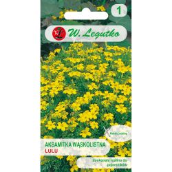 Aksamitka wąskolistna Lulu cytrynowo-żółta 0.30g - Nasiona - W. Legutko