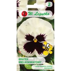 Bratek Silberbraut biały z plamą 0.50g - Nasiona - W. Legutko Bratek Silberbraut biały z plamą 0.50g - Nasiona - W. Legutko