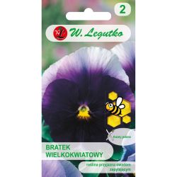 Bratek Lord Beaconsfield fioletowy z białym 0.50g - Nasiona - W. Legutko Bratek Lord Beaconsfield fioletowy z białym 0.50g - Nasiona - W. Legutko