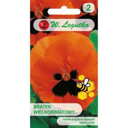Bratek Orange mit Auge pomarańczowy z czarnym 0.30g - Nasiona - W. Legutko
