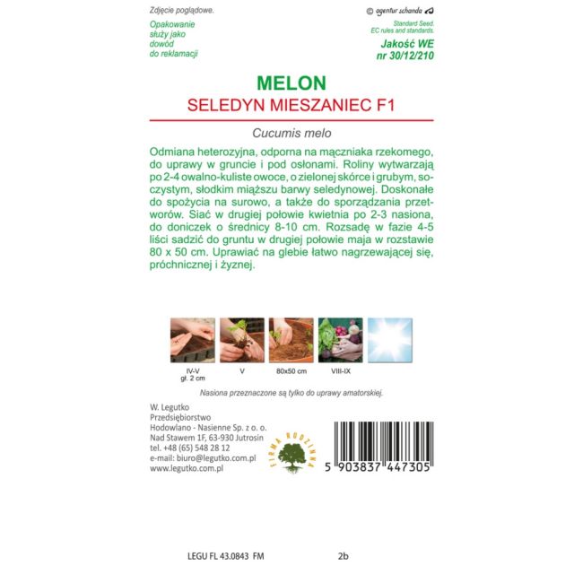 Melon - Seledyn F1 - Nasiona - W. Legutko