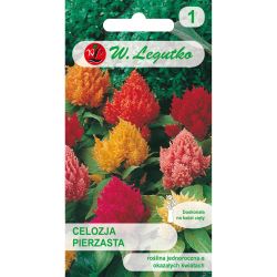 Celozja pierzasta mieszanka 0.30g - Nasiona - W. Legutko