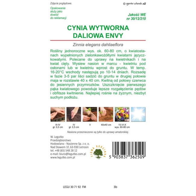 Cynia - wytworna - daliowa - Envy - Nasiona - W. Legutko