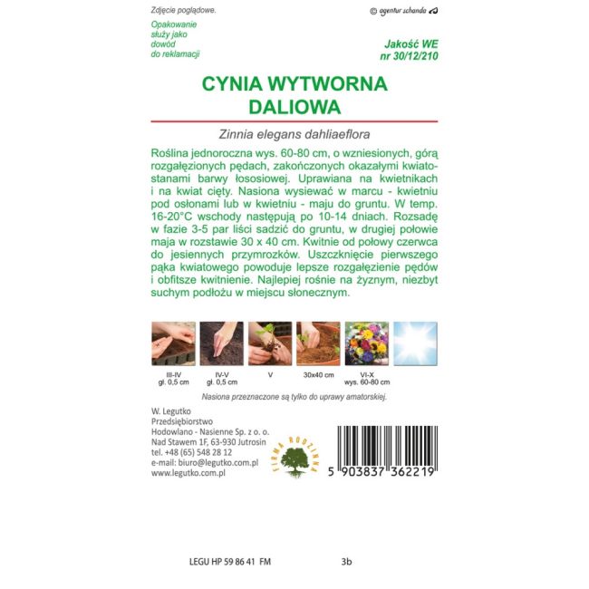 Cynia - wytworna - daliowa - Eldorado - Nasiona - W. Legutko