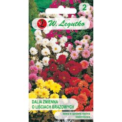 Dalia zmienna Diablo mieszanka 1g - Nasiona - W. Legutko Dalia zmienna Diablo mieszanka 1g - Nasiona - W. Legutko