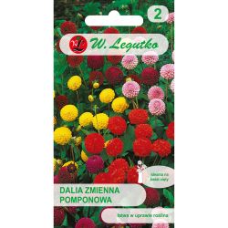 Dalia zmienna pompon. mieszanka 1g - Nasiona - W. Legutko Dalia zmienna pompon. mieszanka 1g - Nasiona - W. Legutko