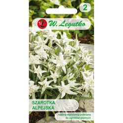 Szarotka alpejska biała 0.10g - Nasiona - W. Legutko