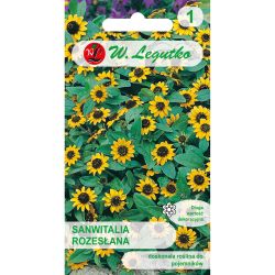 Sanwitalia rozesłana żółta z czarnym śr. 0.30g - Nasiona - W. Legutko