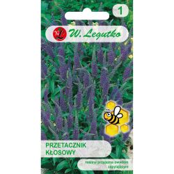 Przetacznik kłosowy niebieski 0.10g - Nasiona - W. Legutko