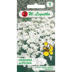 Gęsiówka alpejska biała 0.30g - Nasiona - W. Legutko Gęsiówka alpejska biała 0.30g - Nasiona - W. Legutko