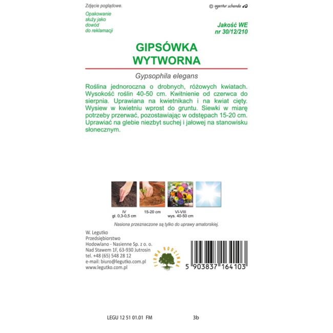 Gipsówka wytworna - różowa - Nasiona - W. Legutko