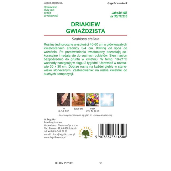 Driakiew - gwiaździsta - liliowa - Nasiona - W. Legutko