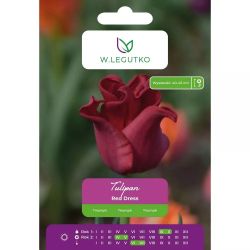 Tulipan Red Dress czerwony 4szt. - Cebule i Kłącza - W. Legutko Tulipan Red Dress czerwony 4szt. - Cebule i Kłącza - W. Legutko