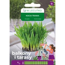 Kocia trawa 25g na balkon i taras - Nasiona - W. Legutko Kocia trawa 25g na balkon i taras - Nasiona - W. Legutko