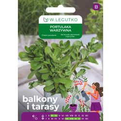 Portulaka warzywna 0.50g na balkon i taras - Nasiona - W. Legutko