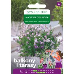 Maciejka dwuroga różowolawendowa 2g na balkon i taras - Nasiona - W. Legutko