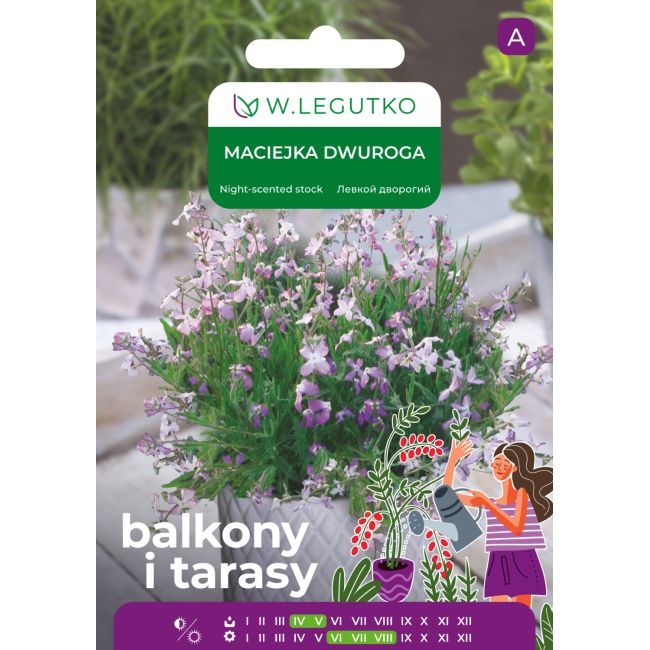 Maciejka - dwuroga - różowolawendowa - Balkony i tarasy - W. Legutko