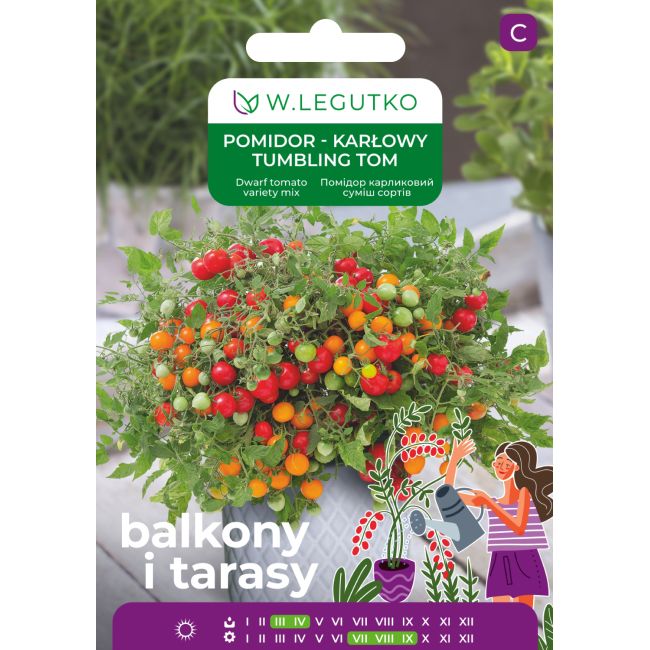 Pomidor - gruntowy - karłowy - Tumbling Tom - Balkony i tarasy - W. Legutko