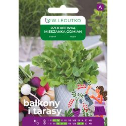 Rzodkiewka mieszanka odmian kulistych 10g na balkon i taras - Nasiona - W. Legutko Rzodkiewka mieszanka odmian kulistych 10g na balkon i taras - Nasiona - W. Legutko