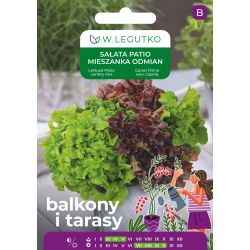 Sałata mieszanka odmian Patio typ 1g na balkon i taras - Nasiona - W. Legutko