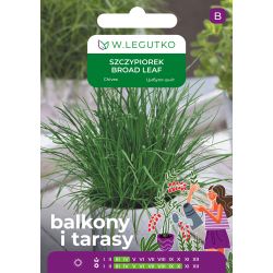 Szczypiorek Broad leaf 2g na balkon i taras - Nasiona - W. Legutko