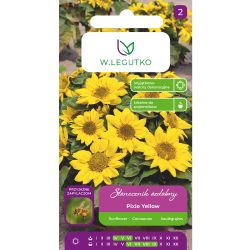 Słonecznik Pixie Yellow złoto-żółte z jasnym środkiem 2g - Nasiona - W. Legutko Słonecznik Pixie Yellow złoto-żółte z jasnym środkiem 2g - Nasiona - W. Legutko