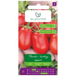 Pomidor Ognik F1 0.50g - Nasiona - W. Legutko