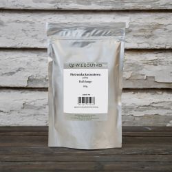Pietruszka Halblange 500g - Nasiona - W. Legutko