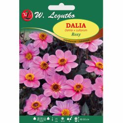 Dalia Roxy różowa 1szt. - Cebule i Kłącza - W. Legutko