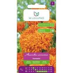 Aksamitka wzniesiona Fantastic pomarańczowa 0.40g - Nasiona - W. Legutko Aksamitka wzniesiona Fantastic pomarańczowa 0.40g - Nasiona - W. Legutko