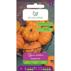 Dynia ozdobna Sweetie Pie pomarańczowa 1g - Nasiona - W. Legutko