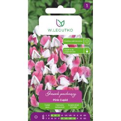 Groszek pachnący Pink Cupid różowo-biały 3g - Nasiona - W. Legutko