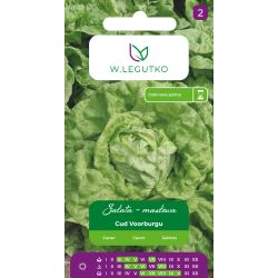 Sałata Cud Voorburgu 1g - Nasiona - W. Legutko
