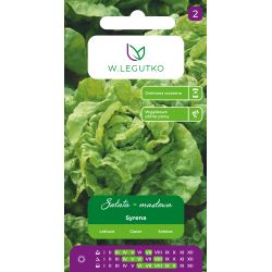 Sałata Syrena 1g - Nasiona - W. Legutko