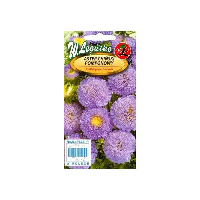 Aster chiński pomponowy - jasnoniebieski - Nasiona - W. Legutko Aster chiński pomponowy - jasnoniebieski - Nasiona - W. Legutko