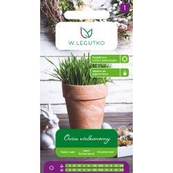 Owies wielkanocny 20g - Nasiona - W. Legutko Owies wielkanocny 20g - Nasiona - W. Legutko