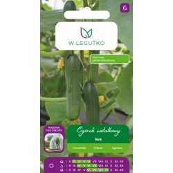 Ogórek Iwa 1g - Nasiona - W. Legutko