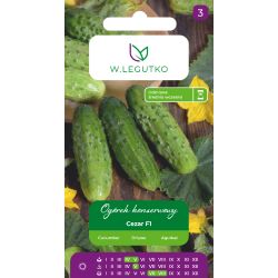 Ogórek Cezar F1 5g - Nasiona - W. Legutko