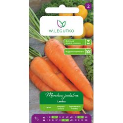 Marchew Lenka 5g - Nasiona - W. Legutko Marchew Lenka 5g - Nasiona - W. Legutko