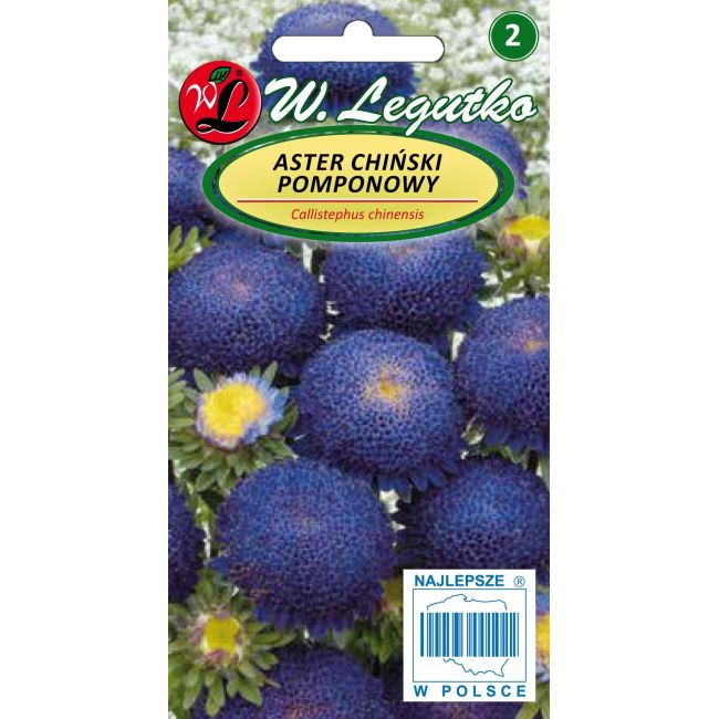 Aster chiński pomponowy - ciemnoniebieski - Nasiona - W. Legutko Aster chiński pomponowy - ciemnoniebieski - Nasiona - W. Legutko